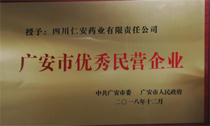 2018.12 廣安市優秀民(mín)營企業(yè)（獎牌）