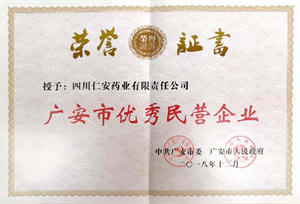 2018.12 廣安市優秀民(mín)營企業(yè)