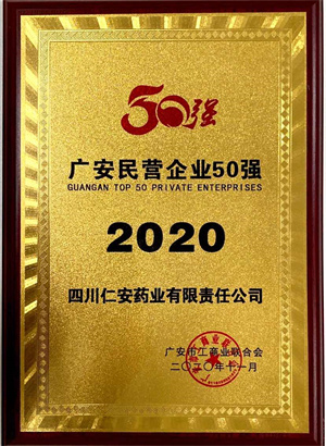 2020.11 廣安市民(mín)營企業(yè)50強