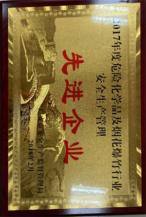 2018.02 2017年度危險化學品及煙花爆竹行(xíng)業(yè)安全生産管理(lǐ)先進企業(yè)