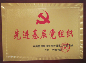 2016.07 Advanced Grass-roots Party Organization