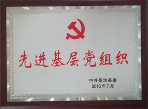 2016.06 Advanced Grass-roots Party Organization of Yuechi County